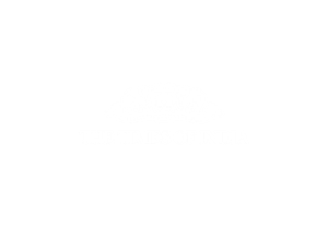 logo-toi